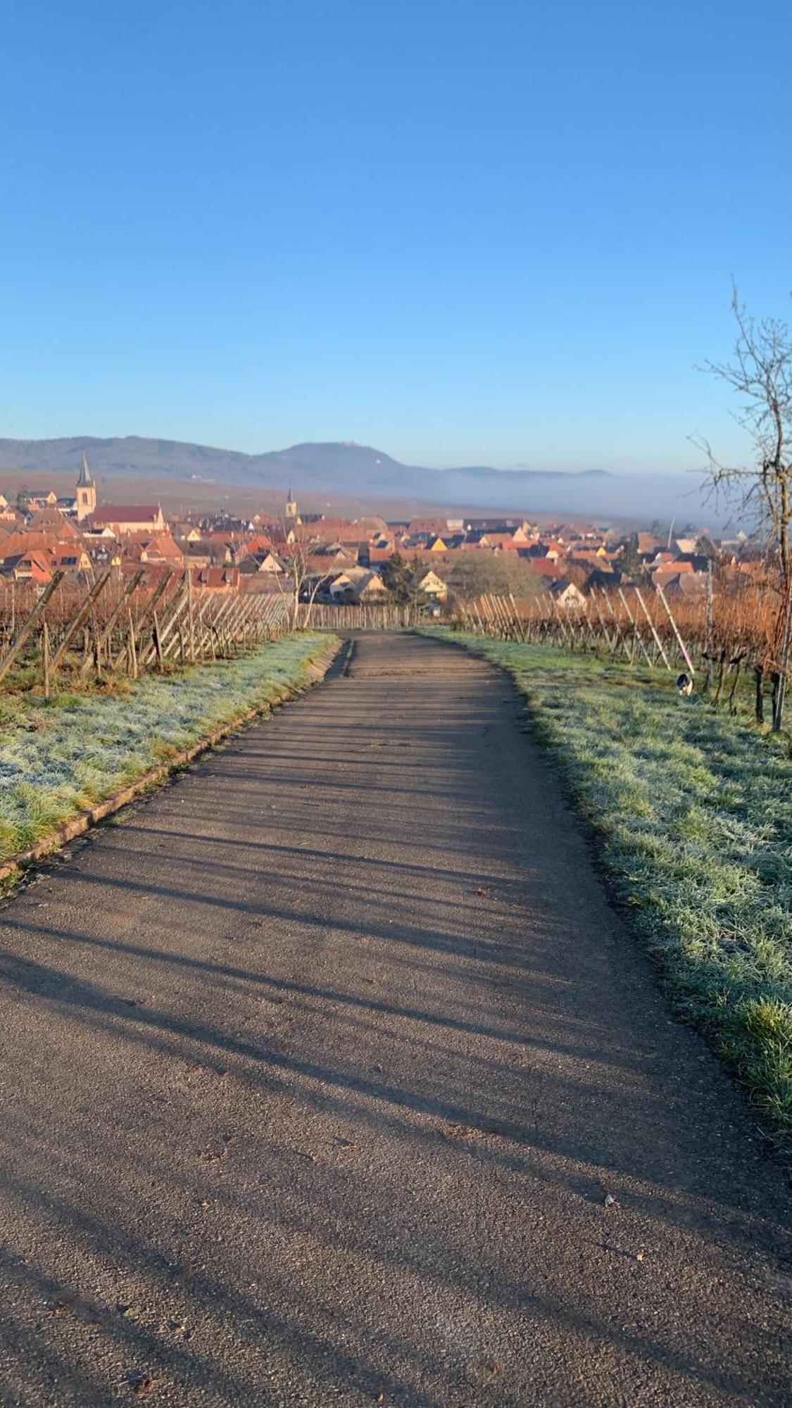 Apartmán La Parenthese Beblenheim Exteriér fotografie